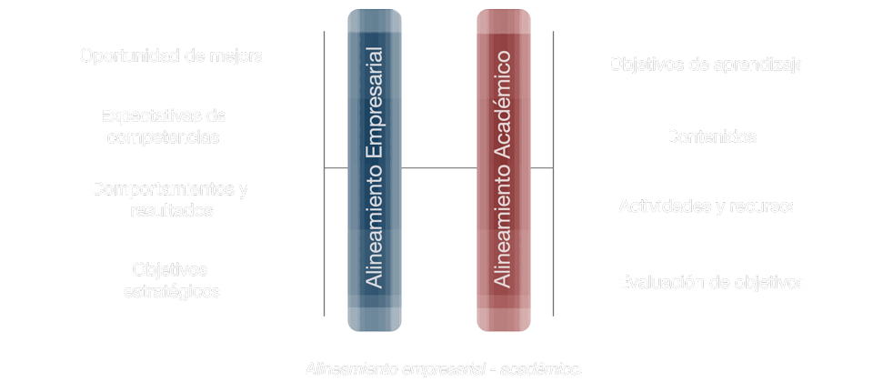 Diagrama_Bajo_Demanda