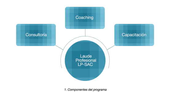 ConsultoriaServicioCliente_Diagrama1-550x300 ConsultoriaServicioCliente_Diagrama1-550x300