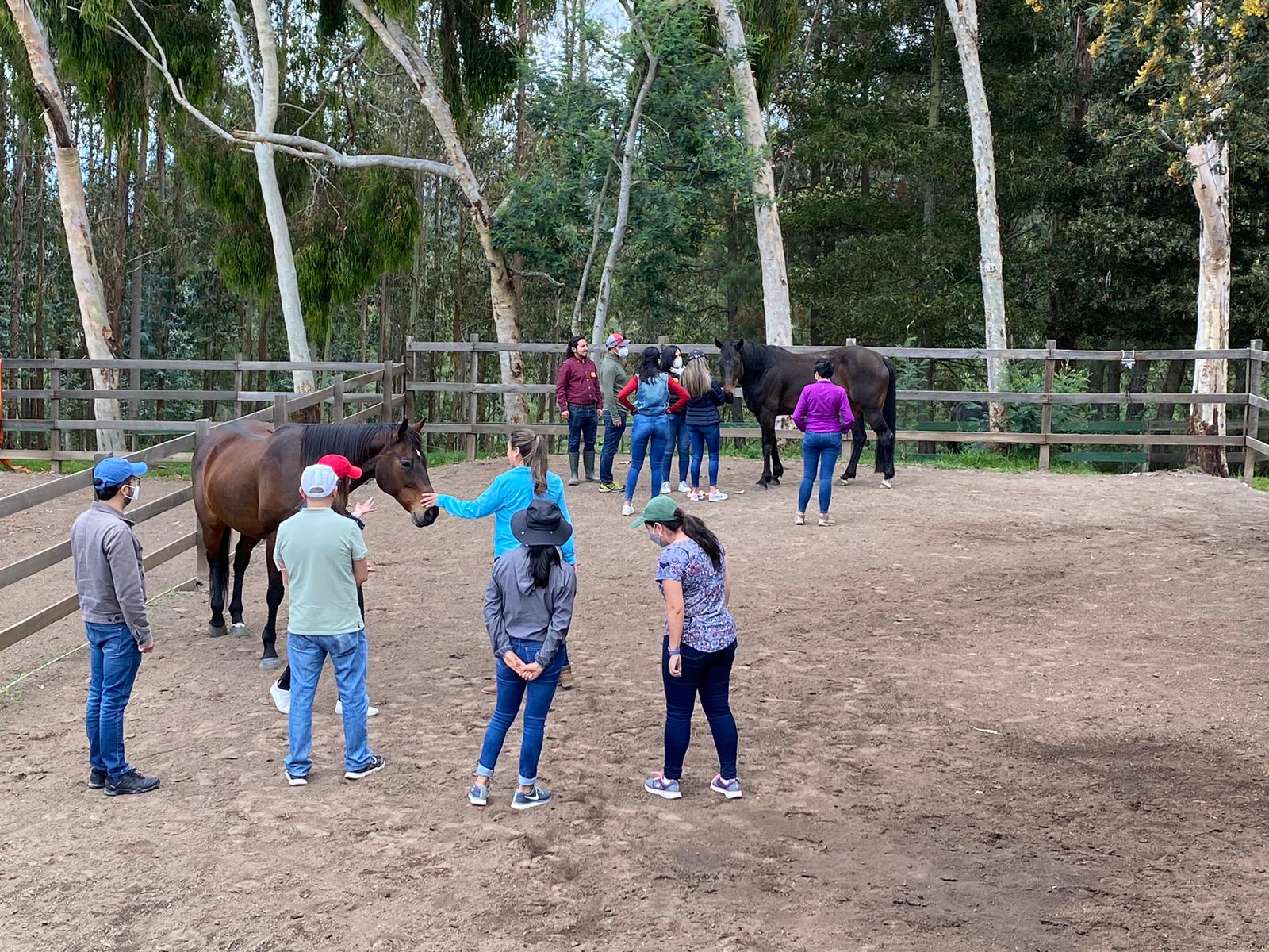 WhatsApp Image 2021-12-14 at 13.05.19-3